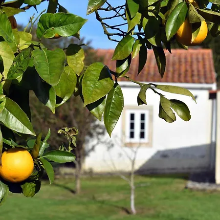 Casal Laranjeiras Vakantiehuis Óbidos
