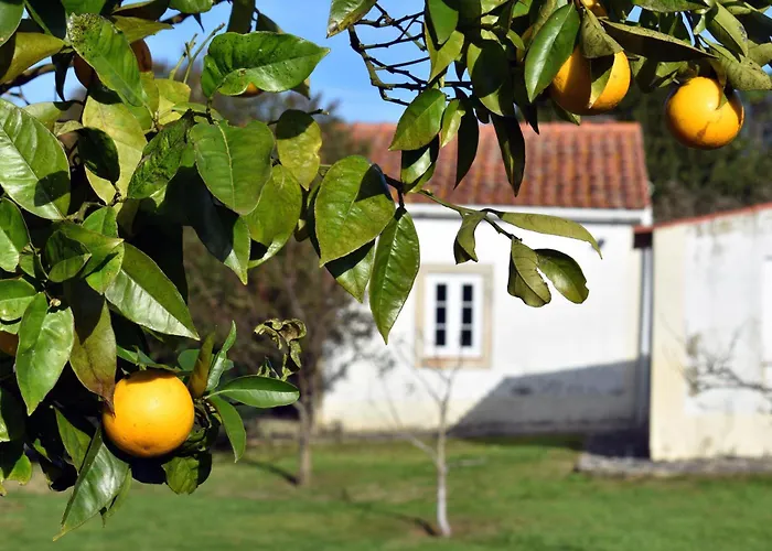 Casal Laranjeiras Vakantiehuis Óbidos